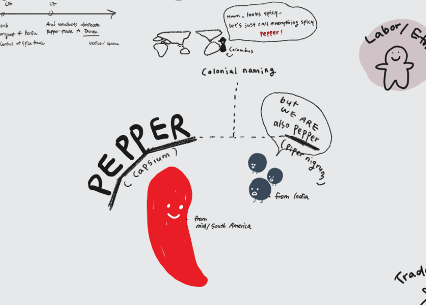 About Pepper: From Black to Red Peppers